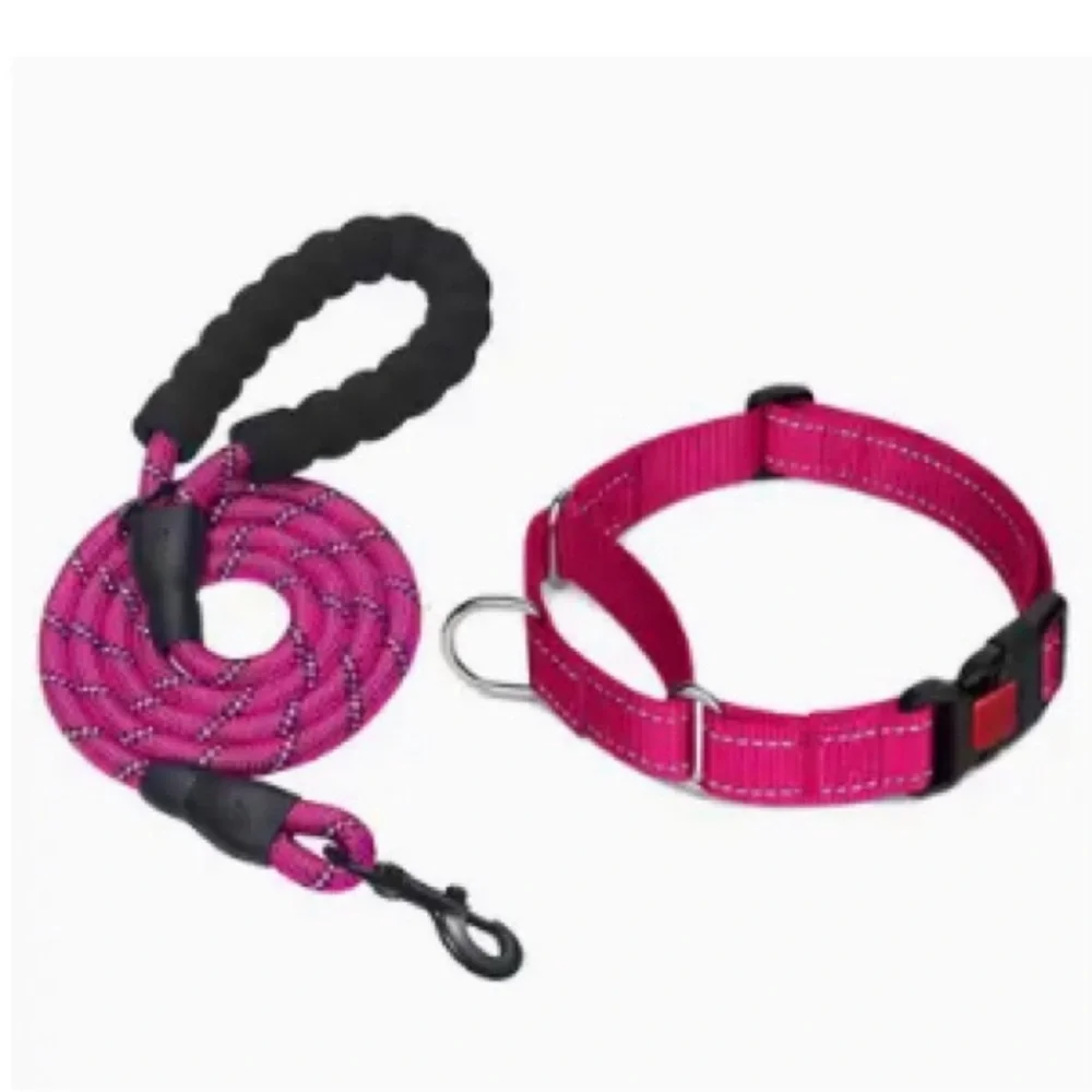 Fuchsia Martingale Dog Collar and Reflective Leash Set